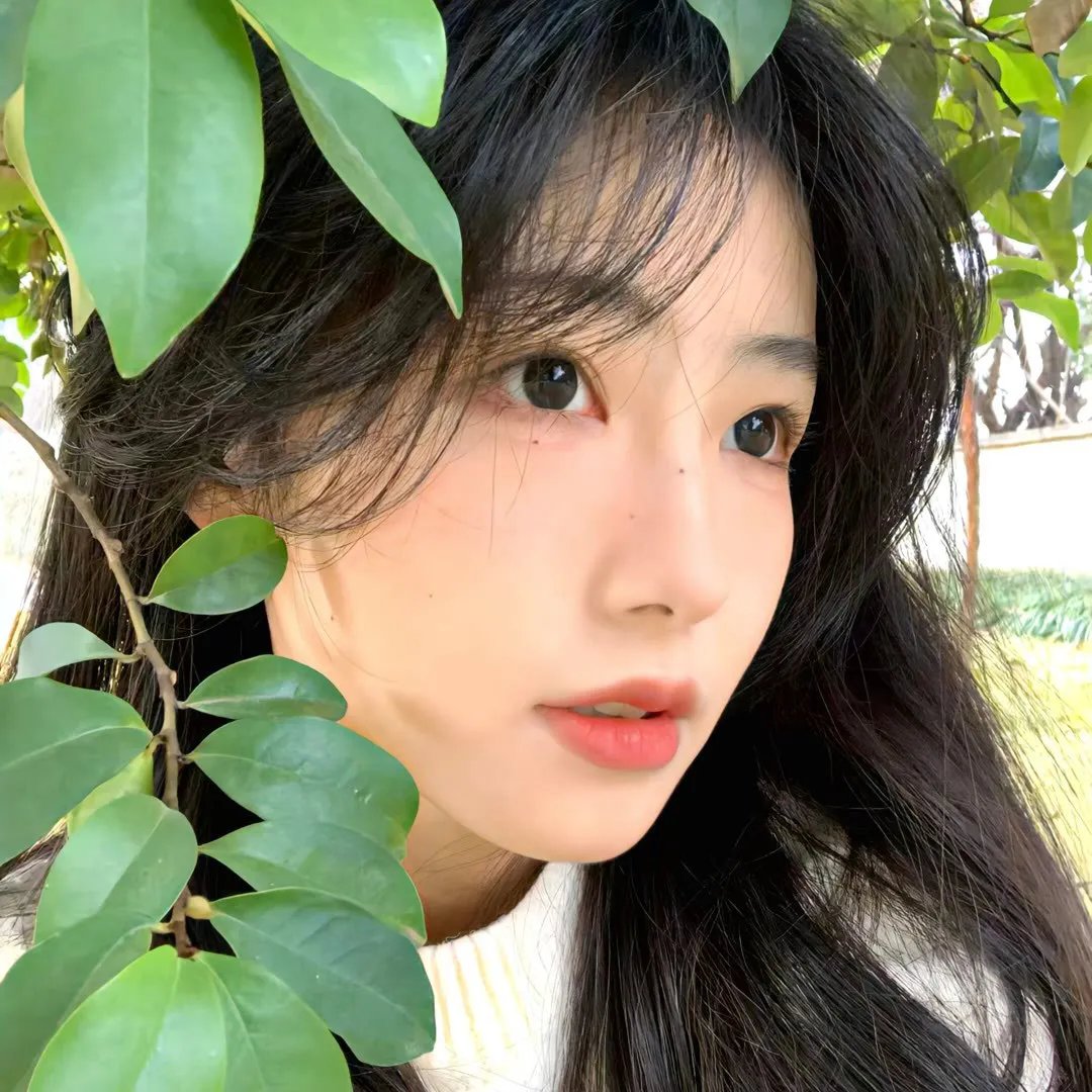 汪喵物语